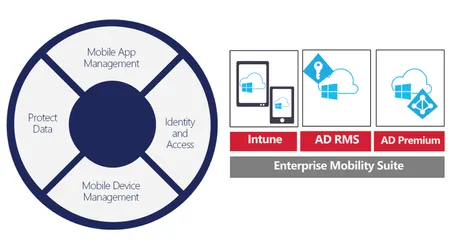 Understanding Microsoft EMS