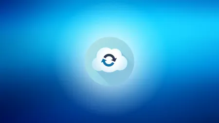 Managing your Organization's Data-Backup on the Cloud