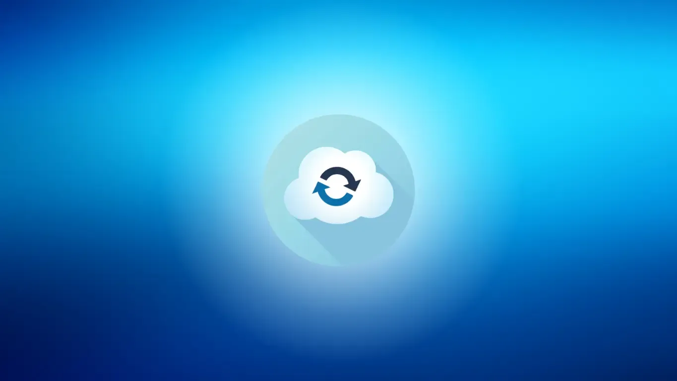 Managing your Organization's Data-Backup on the Cloud